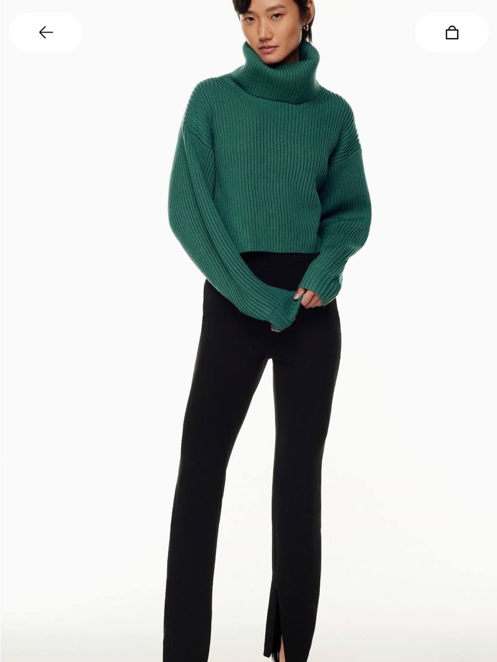 Aritzia Babaton Guell Sweater